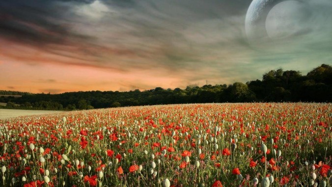 淘宝为什么要提供npm镜像?